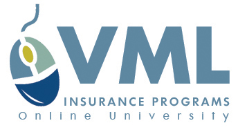 VMLIP Online University