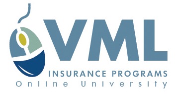 VMLIP Online University